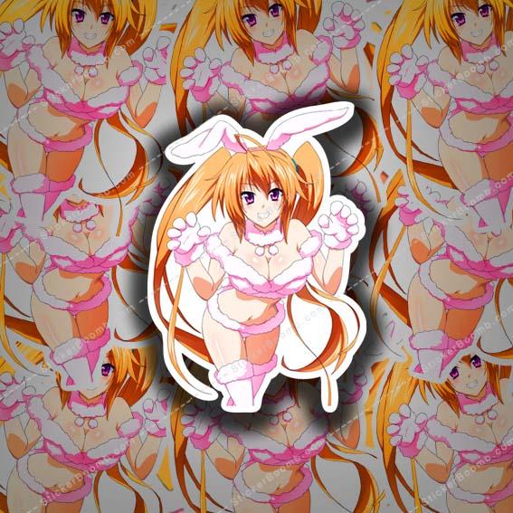 Shidou Irina Kawaii Bunny  High School DxD